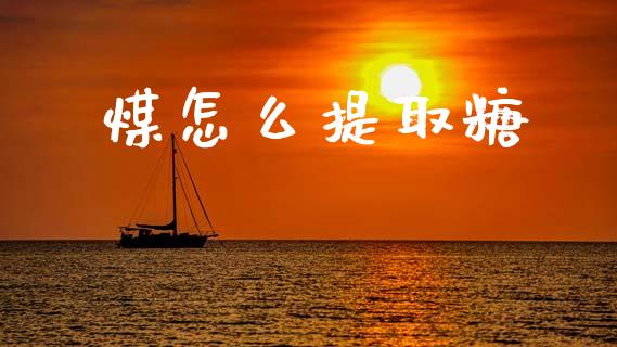 煤怎么提取糖_https://wap.fcdydaikuan.com_新股数据_第1张