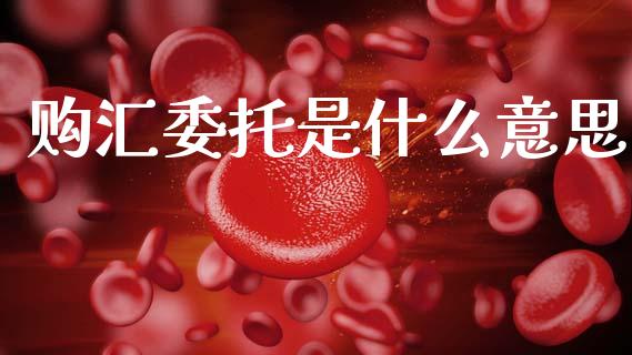 购汇委托是什么意思_https://wap.fcdydaikuan.com_金融机构_第1张