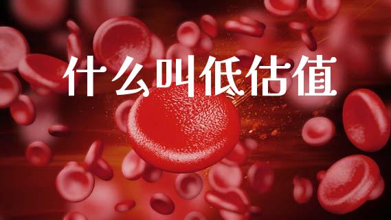 什么叫低估值_https://wap.fcdydaikuan.com_新股数据_第1张