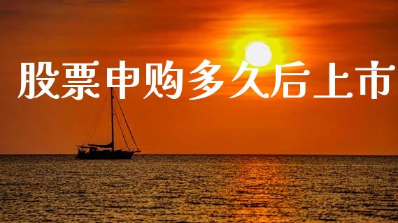 股票申购多久后上市_https://wap.fcdydaikuan.com_新股数据_第1张