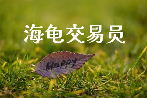 海龟交易员_https://wap.fcdydaikuan.com_理财顾问_第1张