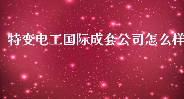 特变电工国际成套公司怎么样_https://wap.fcdydaikuan.com_新股数据_第1张