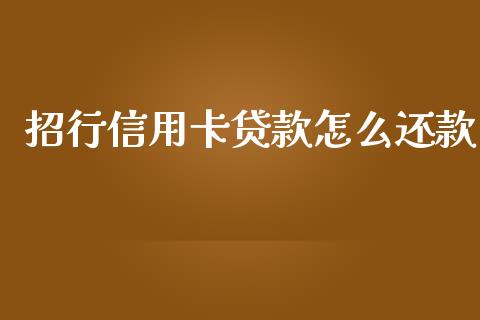招行信用卡贷款怎么还款_https://wap.fcdydaikuan.com_期货品种_第1张