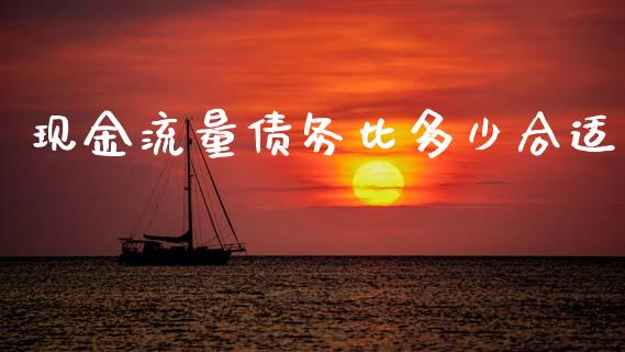 现金流量债务比多少合适_https://wap.fcdydaikuan.com_国际投资_第1张