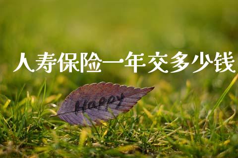 人寿保险一年交多少钱_https://wap.fcdydaikuan.com_投资策略_第1张