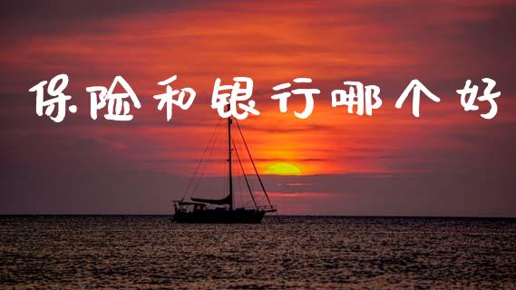 保险和银行哪个好_https://wap.fcdydaikuan.com_国际投资_第1张