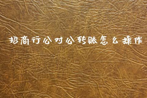 招商行公对公转账怎么操作_https://wap.fcdydaikuan.com_期货品种_第1张