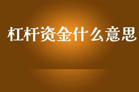 杠杆资金什么意思_https://wap.fcdydaikuan.com_理财顾问_第1张