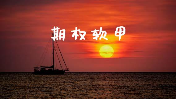 期权软甲_https://wap.fcdydaikuan.com_新股数据_第1张