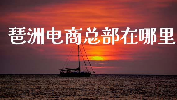 琶洲电商总部在哪里_https://wap.fcdydaikuan.com_期货品种_第1张