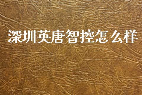 深圳英唐智控怎么样_https://wap.fcdydaikuan.com_期货品种_第1张