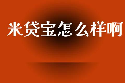 米贷宝怎么样啊_https://wap.fcdydaikuan.com_投资策略_第1张
