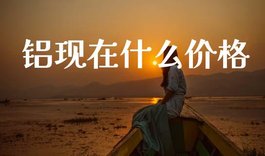 铝现在什么价格_https://wap.fcdydaikuan.com_投资策略_第1张