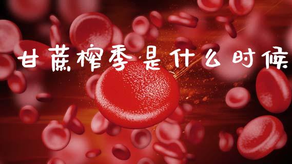 甘蔗榨季是什么时候_https://wap.fcdydaikuan.com_国际投资_第1张