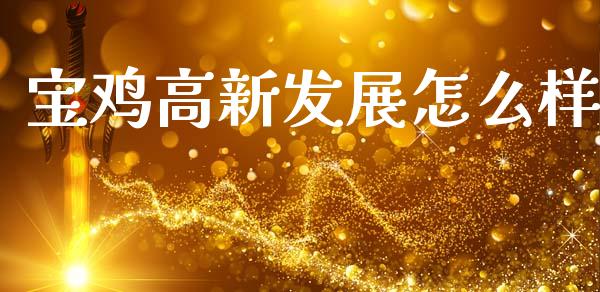 宝鸡高新发展怎么样_https://wap.fcdydaikuan.com_国际投资_第1张