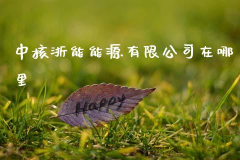 中核浙能能源有限公司在哪里_https://wap.fcdydaikuan.com_国际投资_第1张