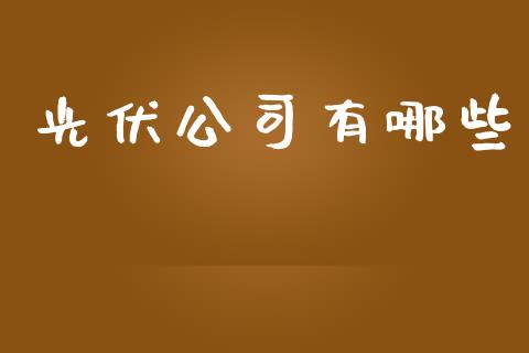 光伏公司有哪些_https://wap.fcdydaikuan.com_金融机构_第1张
