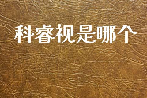 科睿视是哪个_https://wap.fcdydaikuan.com_期货品种_第1张