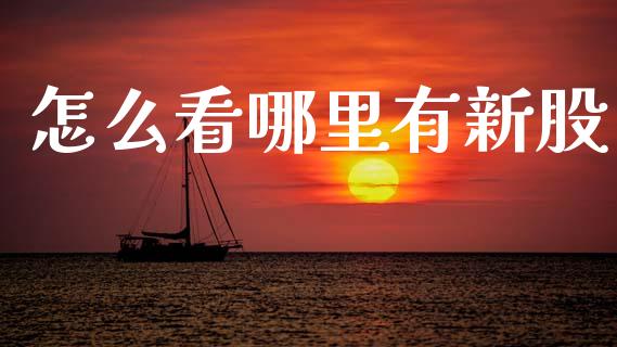 怎么看哪里有新股_https://wap.fcdydaikuan.com_期货品种_第1张
