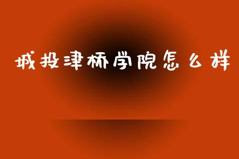 城投津桥学院怎么样_https://wap.fcdydaikuan.com_金融机构_第1张