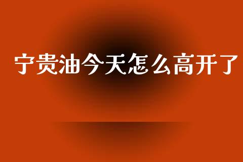 宁贵油今天怎么高开了_https://wap.fcdydaikuan.com_投资策略_第1张