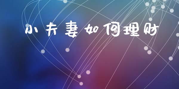 小夫妻如何理财_https://wap.fcdydaikuan.com_金融机构_第1张
