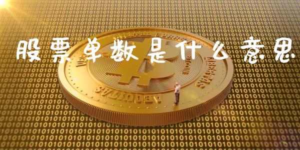 股票单数是什么意思_https://wap.fcdydaikuan.com_投资策略_第1张