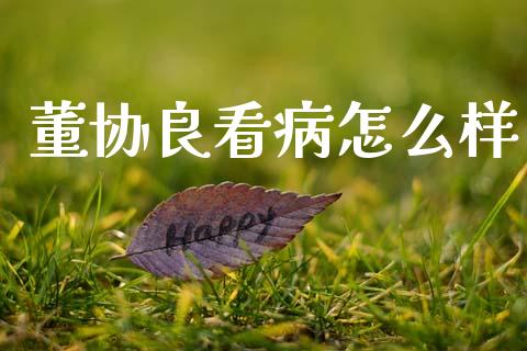 董协良看病怎么样_https://wap.fcdydaikuan.com_投资策略_第1张