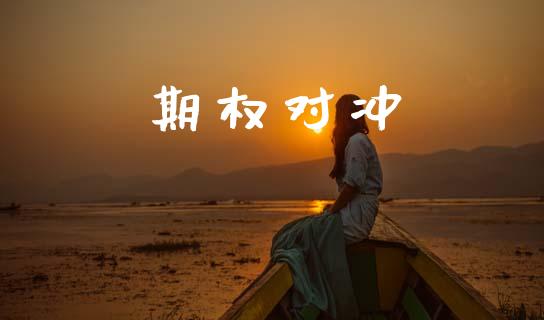 期权对冲_https://wap.fcdydaikuan.com_理财顾问_第1张