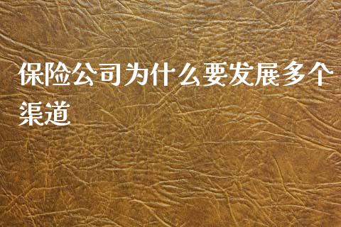 保险公司为什么要发展多个渠道_https://wap.fcdydaikuan.com_金融机构_第1张