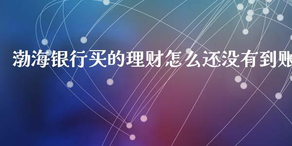 渤海银行买的理财怎么还没有到账_https://wap.fcdydaikuan.com_理财顾问_第1张