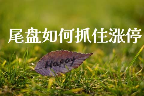 尾盘如何抓住涨停_https://wap.fcdydaikuan.com_理财顾问_第1张