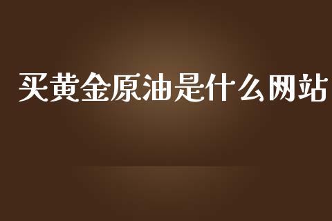 买黄金原油是什么网站_https://wap.fcdydaikuan.com_新股数据_第1张