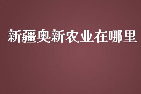 新疆奥新农业在哪里_https://wap.fcdydaikuan.com_理财顾问_第1张