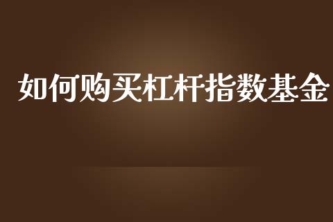 如何购买杠杆指数基金_https://wap.fcdydaikuan.com_期货品种_第1张
