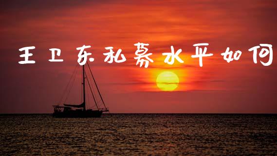 王卫东私募水平如何_https://wap.fcdydaikuan.com_理财顾问_第1张