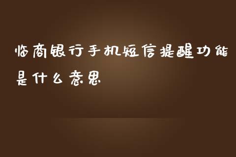 临商银行手机短信提醒功能是什么意思_https://wap.fcdydaikuan.com_国际投资_第1张