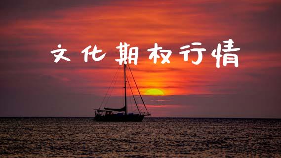 文化期权行情_https://wap.fcdydaikuan.com_国际投资_第1张