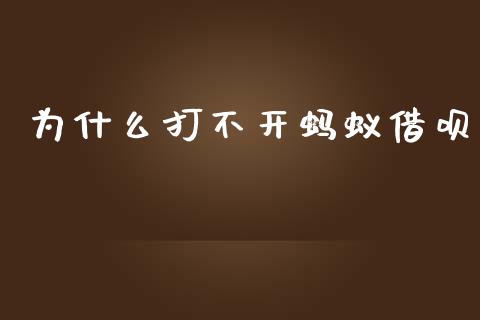 为什么打不开蚂蚁借呗_https://wap.fcdydaikuan.com_期货品种_第1张
