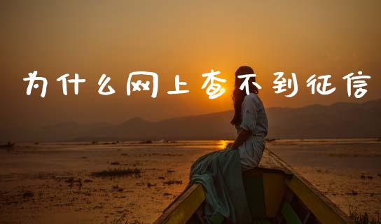 为什么网上查不到征信_https://wap.fcdydaikuan.com_期货品种_第1张