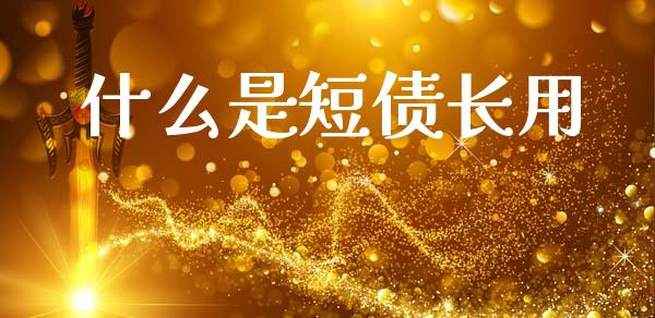 什么是短债长用_https://wap.fcdydaikuan.com_新股数据_第1张