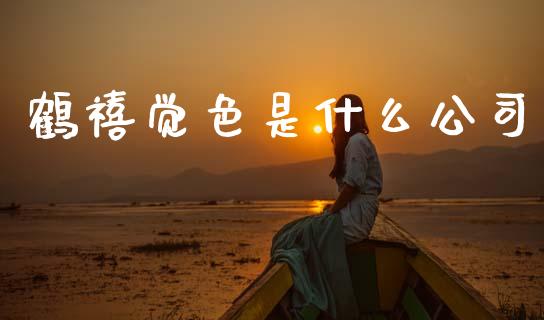 鹤禧觉色是什么公司_https://wap.fcdydaikuan.com_国际投资_第1张