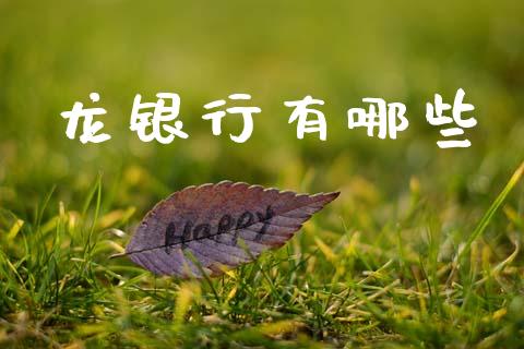 龙银行有哪些_https://wap.fcdydaikuan.com_金融机构_第1张