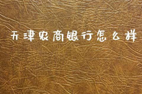 天津农商银行怎么样_https://wap.fcdydaikuan.com_金融机构_第1张