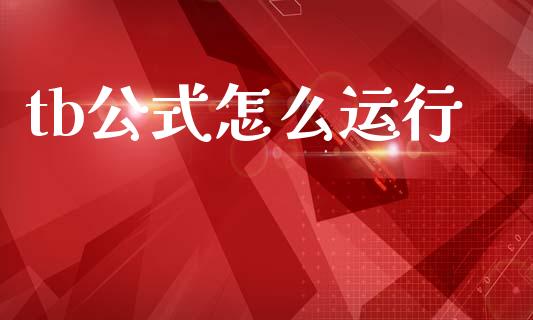 tb公式怎么运行_https://wap.fcdydaikuan.com_金融机构_第1张