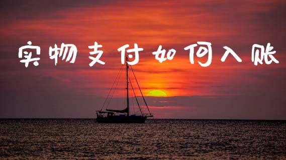 实物支付如何入账_https://wap.fcdydaikuan.com_投资策略_第1张