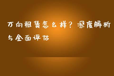 万向租赁怎么样？深度解析与全面评估_https://wap.fcdydaikuan.com_期货品种_第1张