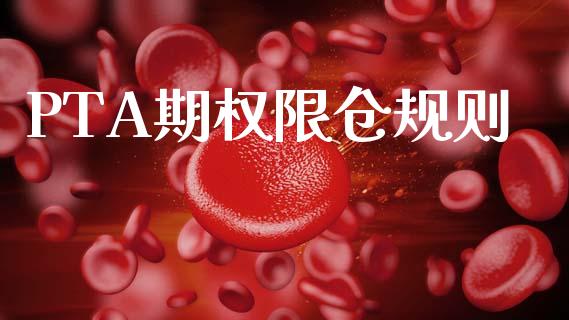 PTA期权限仓规则_https://wap.fcdydaikuan.com_期货品种_第1张