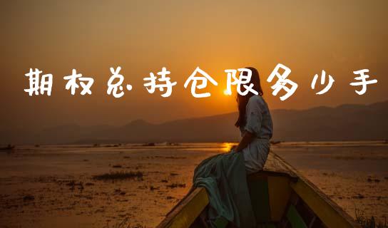 期权总持仓限多少手_https://wap.fcdydaikuan.com_新股数据_第1张
