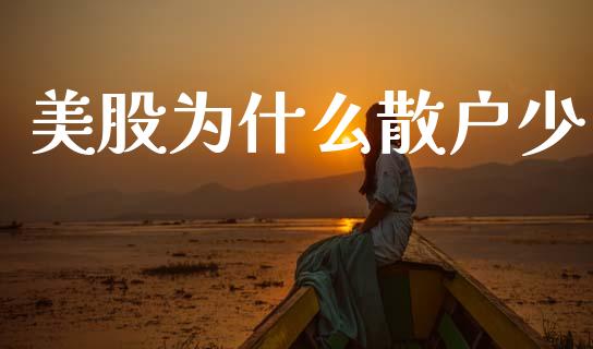 美股为什么散户少_https://wap.fcdydaikuan.com_新股数据_第1张